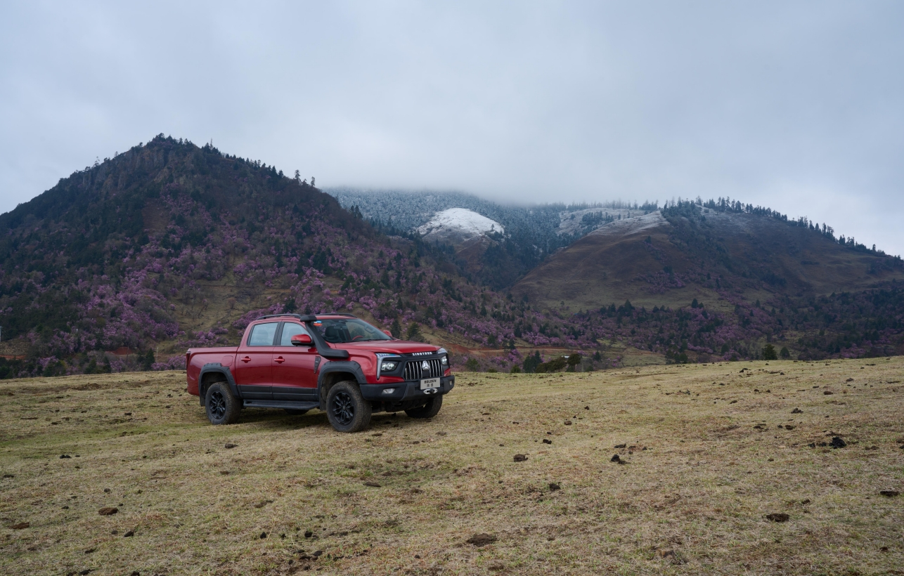 w88win优德(中国区)唯一官方网站