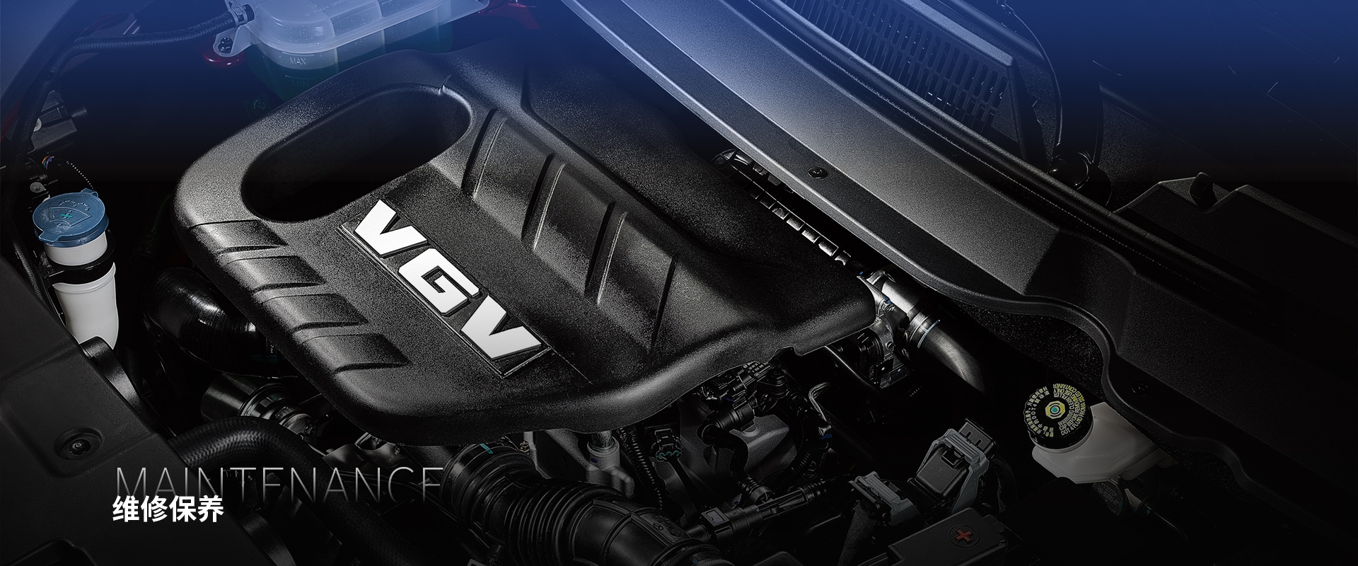 w88win优德(中国区)唯一官方网站