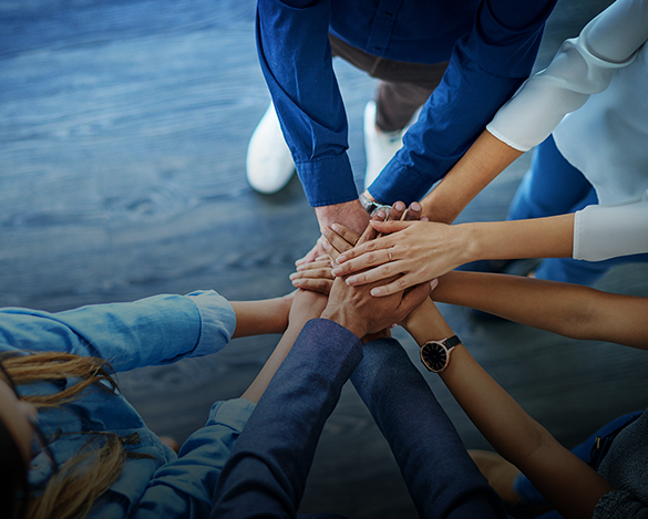 w88win优德(中国区)唯一官方网站