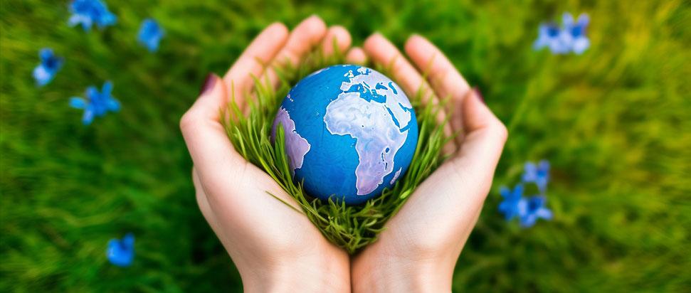 w88win优德(中国区)唯一官方网站