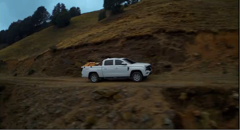 w88win优德(中国区)唯一官方网站